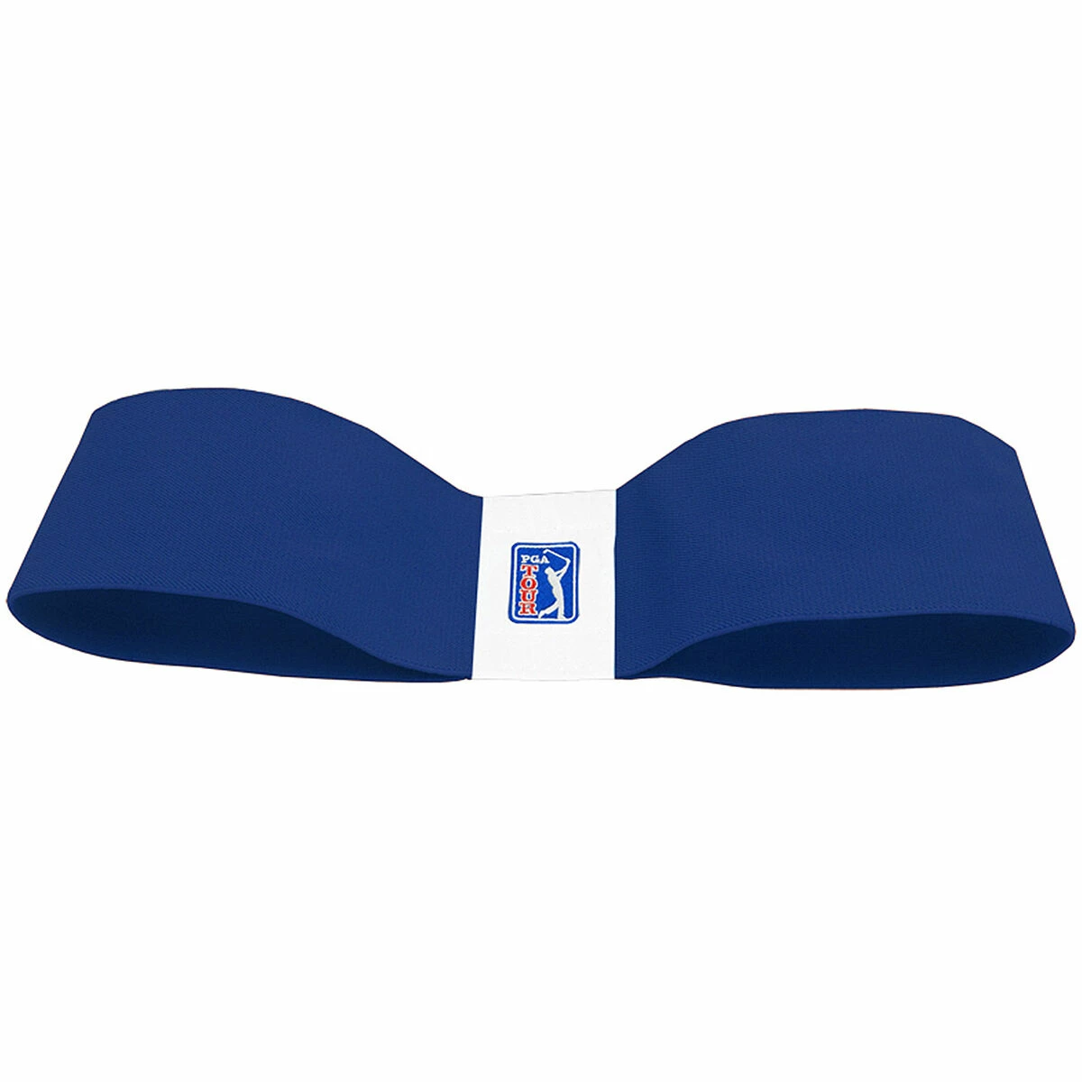 PGA Tour Blue Golf Swing Trainer